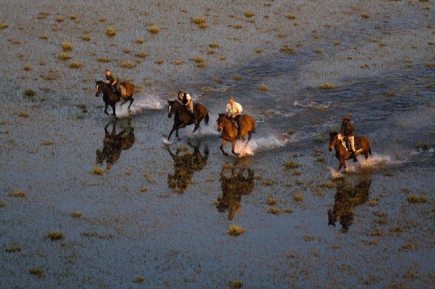 Okawango-Delta-Horseback